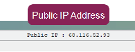 Public IP Address